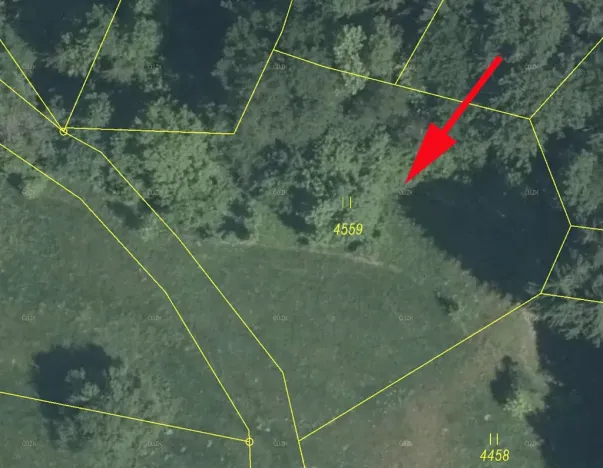 Prodej louky, Železný Brod, 2044 m2