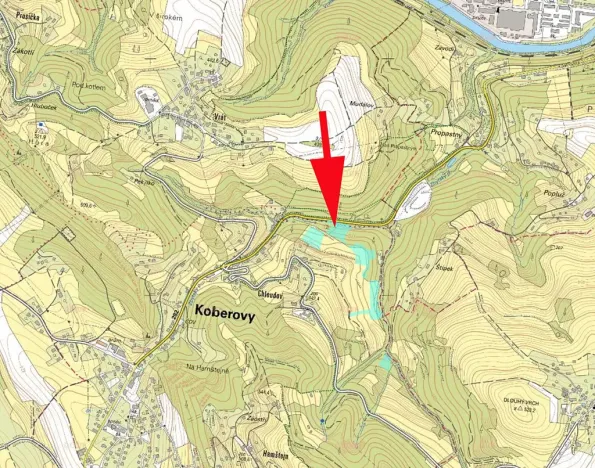 Prodej lesa, Železný Brod, 987 m2