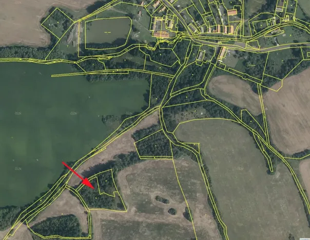 Prodej louky, Mašťov, 9839 m2