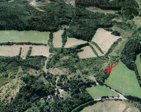 Prodej lesa, Mašťov, 1300 m2