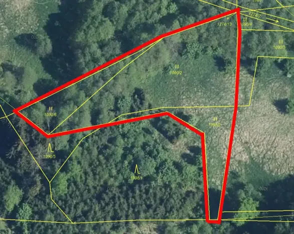 Prodej louky, Libchavy, 3530 m2