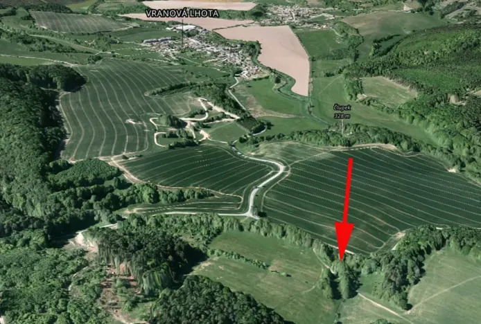 Prodej podílu lesa, Vranová Lhota, 808 m2