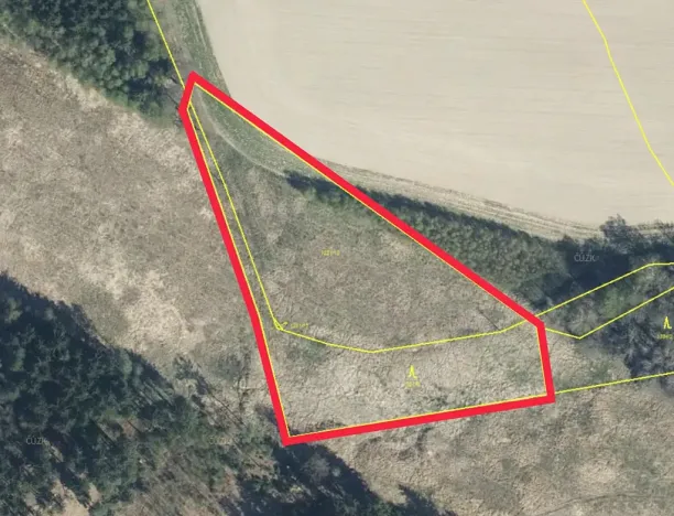 Prodej pole, Česká Třebová, 8125 m2