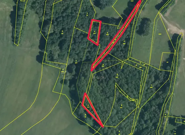 Prodej lesa, Stružnice, 2051 m2