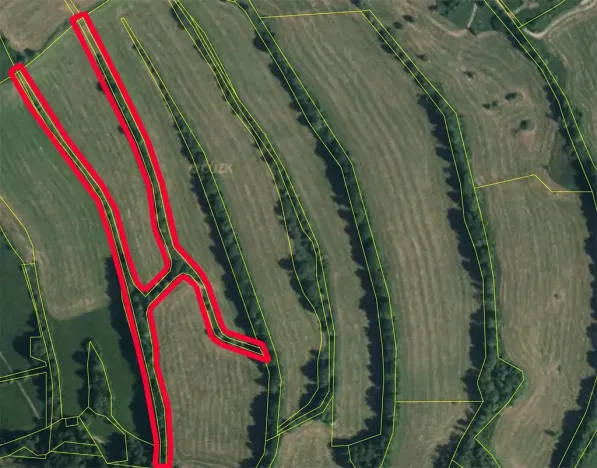 Prodej lesa, Žandov, 9354 m2