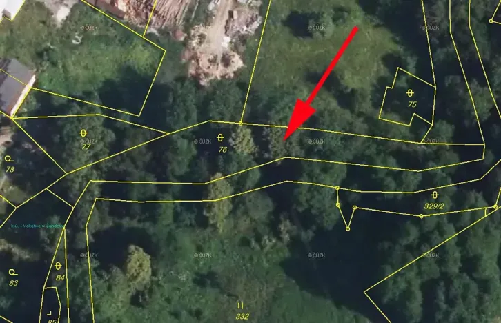 Prodej lesa, Žandov, 1294 m2