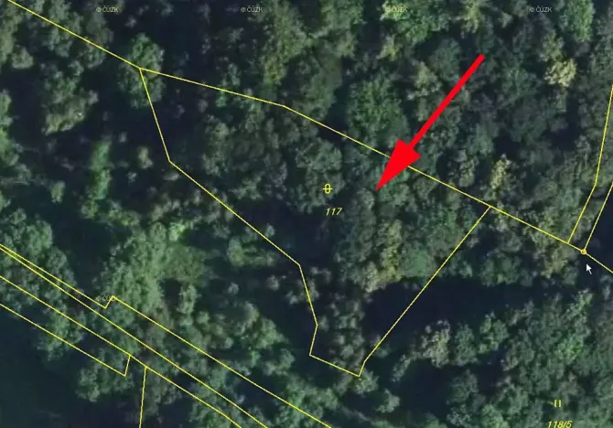 Prodej lesa, Stvolínky, 2465 m2