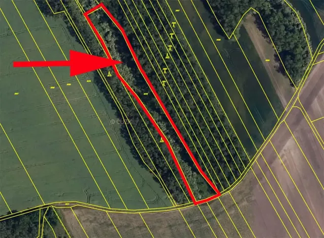 Prodej louky, Čejč, 5686 m2