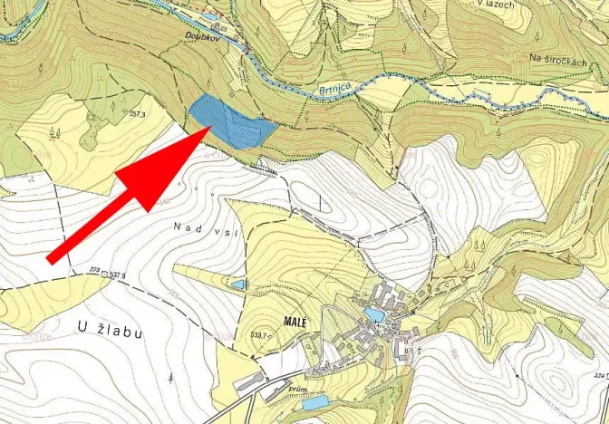 Prodej lesa, Brtnice, 21827 m2