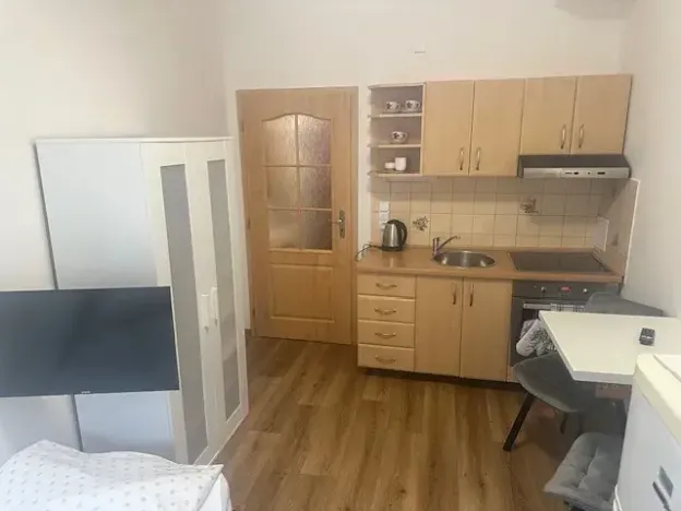 Pronájem bytu 1+kk, Kadaň, Školní, 19 m2