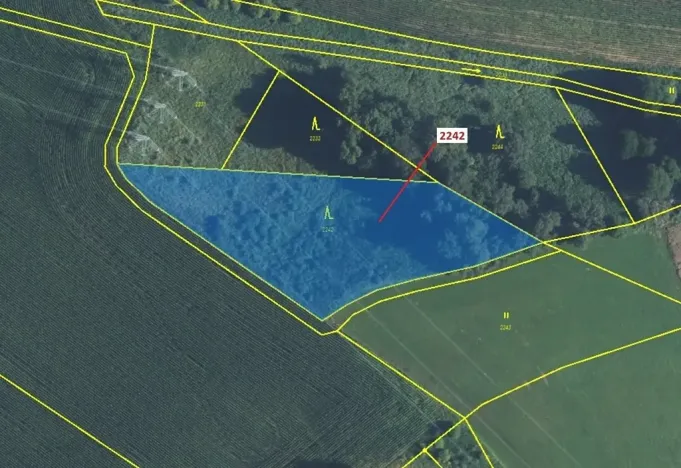 Dražba lesa, Trpík, 3972 m2