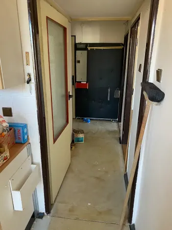 Prodej bytu 2+1, Brno, Plevova, 58 m2