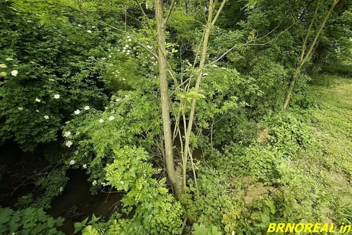 Prodej zahrady, Rousínov, 940 m2