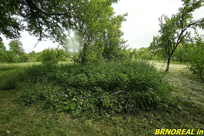 Prodej zahrady, Rousínov, 940 m2