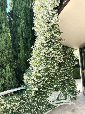 Prodej bytu 3+kk, Budva, Černá Hora, 150 m2