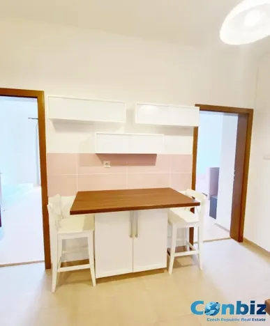 Pronájem bytu 2+1, Praha - Holešovice, U Uranie, 52 m2