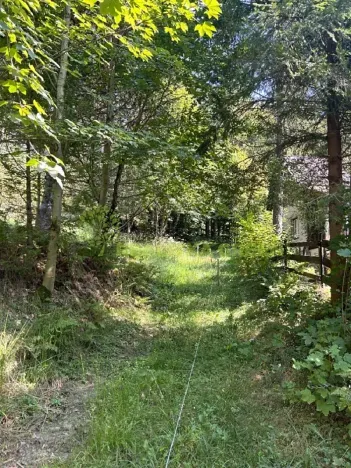 Prodej lesa, Nýdek, 16920 m2