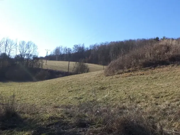 Dražba louky, Úštěk, 4600 m2