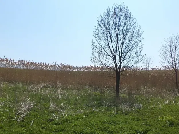 Dražba louky, Chotěbuz, 6967 m2