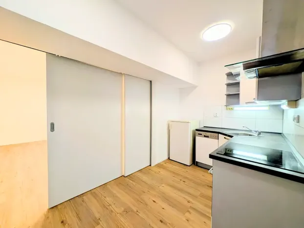 Pronájem bytu 1+kk, Praha - Vinohrady, Bořivojova, 33 m2