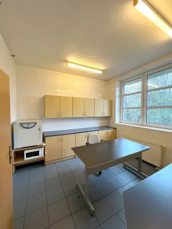 Pronájem obchodního prostoru, Český Těšín, Frýdecká, 160 m2