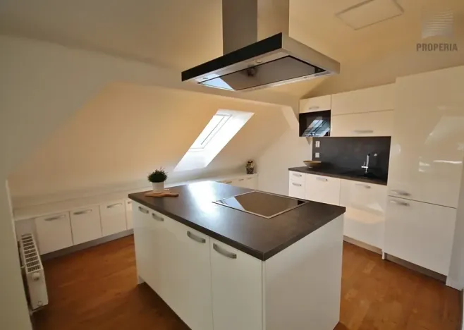 Pronájem bytu 3+kk, Brno, Ríšova, 118 m2