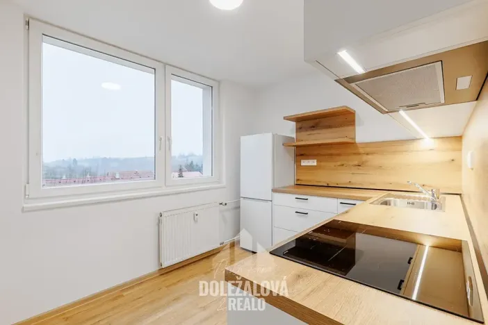 Pronájem bytu 1+1, Malý Beranov, 46 m2