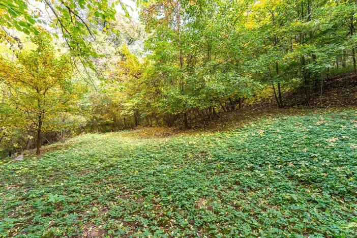 Prodej chaty, Dolní Kounice, Komenského, 16 m2