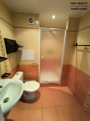 Pronájem bytu 1+kk, Děčín, Želenická, 25 m2