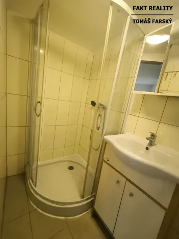 Pronájem bytu 1+kk, Děčín, Teplická, 19 m2
