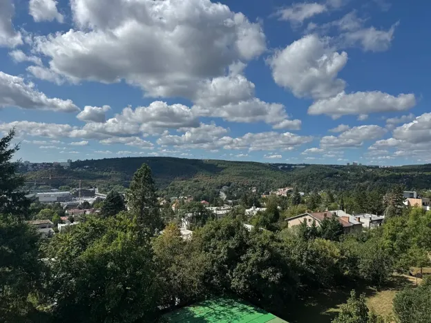 Prodej bytu 3+1, Brno, Bohuslava Martinů, 79 m2