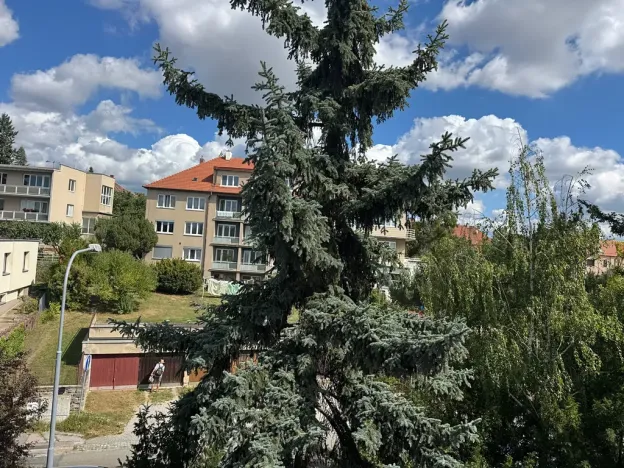 Prodej bytu 3+1, Brno, Bohuslava Martinů, 79 m2