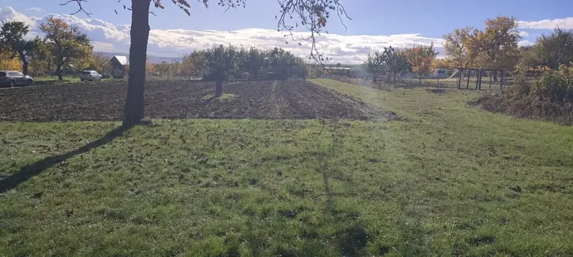 Prodej sadu/vinice, Blučina, 2677 m2