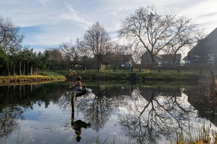 Prodej zahrady, Nové Mitrovice, 1882 m2