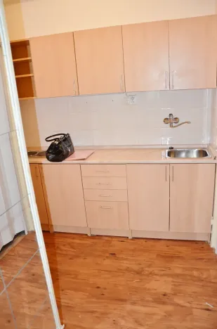 Pronájem bytu 1+kk, Praha - Vršovice, Přípotoční, 28 m2