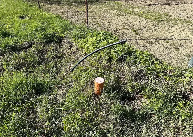 Prodej zahrady, Šlapanov, 989 m2