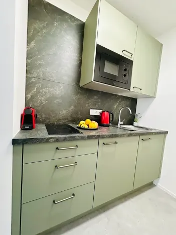 Prodej bytu 1+kk, Janov nad Nisou, 31 m2