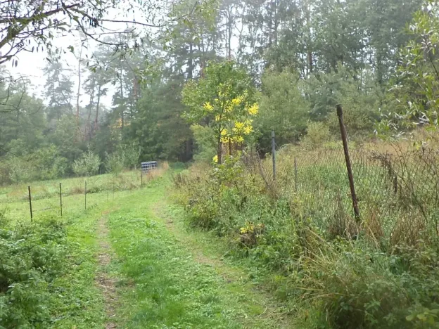 Dražba louky, Biskupice-Pulkov, 986 m2