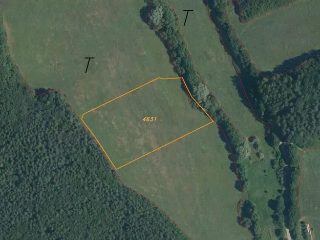 Dražba louky, Slavičín, 16521 m2