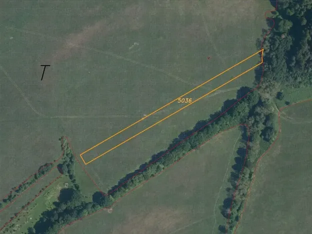 Dražba louky, Slavičín, 16521 m2