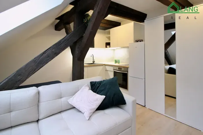 Pronájem bytu 1+kk, Brno, Francouzská, 28 m2