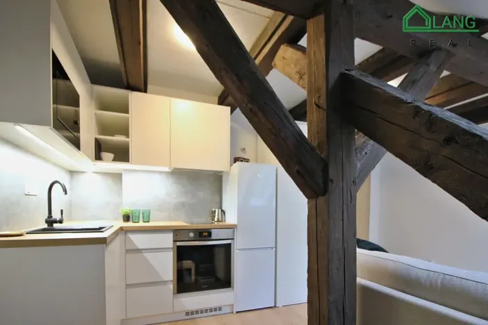 Pronájem bytu 1+kk, Brno, Francouzská, 28 m2