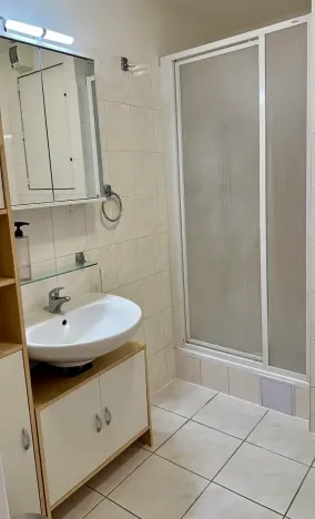 Pronájem bytu 1+kk, Brno, Trýbova, 36 m2