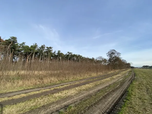 Prodej lesa, Kostelní Lhota, 9438 m2