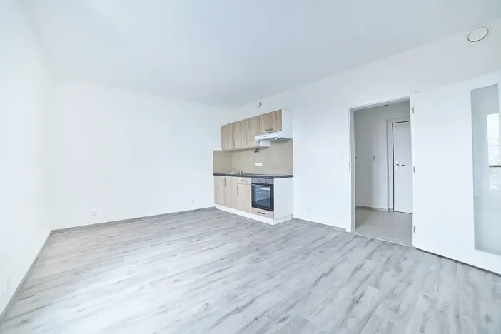 Pronájem bytu 1+kk, Plzeň, Železniční, 50 m2