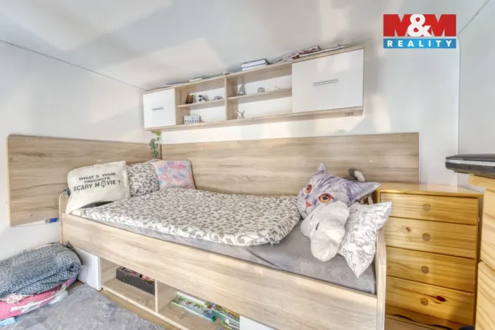 Prodej bytu 3+1, Plzeň, Havlíčkova, 112 m2