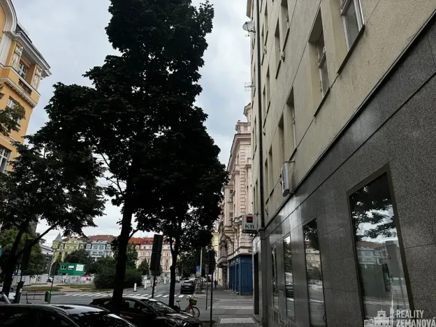 Pronájem bytu 1+1, Praha - Vinohrady, Řipská, 47 m2