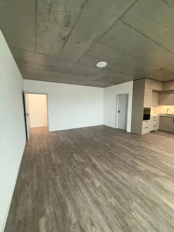 Pronájem bytu 1+kk, České Budějovice, Štítného, 44 m2