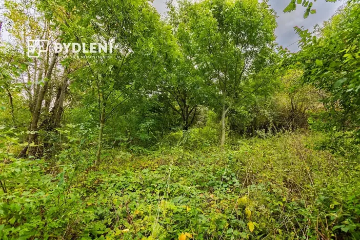 Prodej zahrady, Malé Žernoseky, 1568 m2