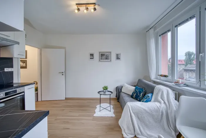 Pronájem bytu 1+1, Chomutov, Arbesova, 36 m2